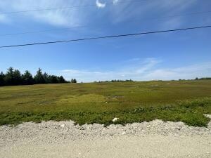View from road