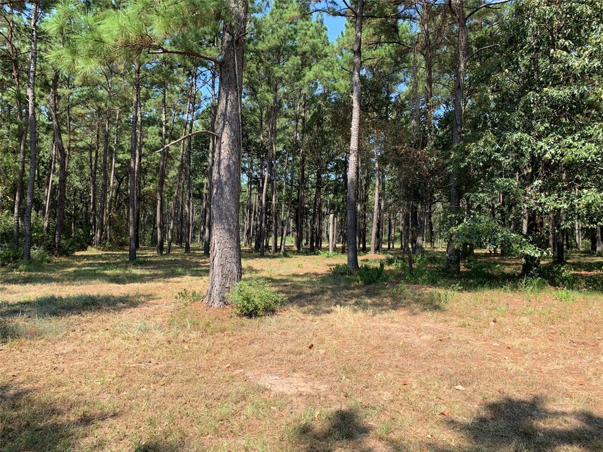 25692 Joseph Rd, Hockley, TX 77447 - photo 1