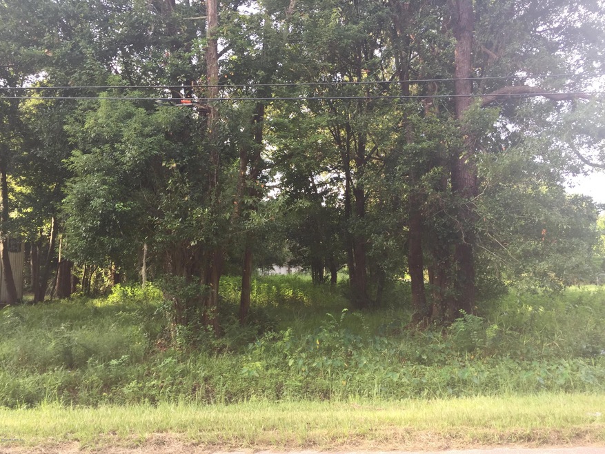 0 105th St unit 793076, Jacksonville, FL 32244 - photo 1