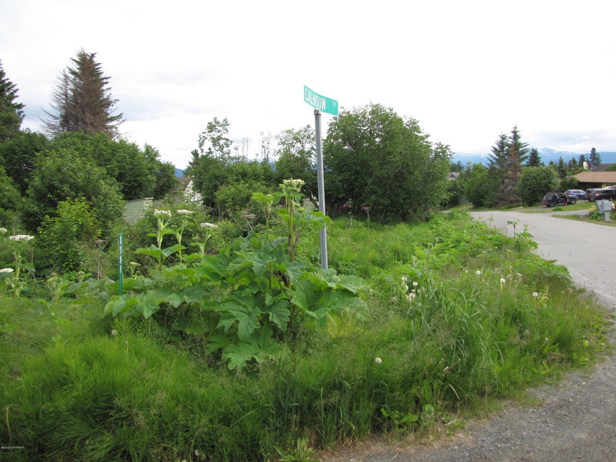great corner lot