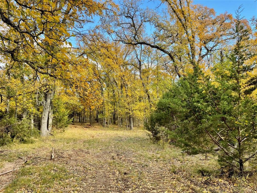 03 Indian Camp Rd, Weatherford, TX 76087 - photo 1