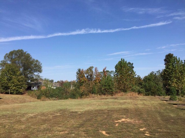 430 County Road 101, Oxford, MS 38655 - photo 1