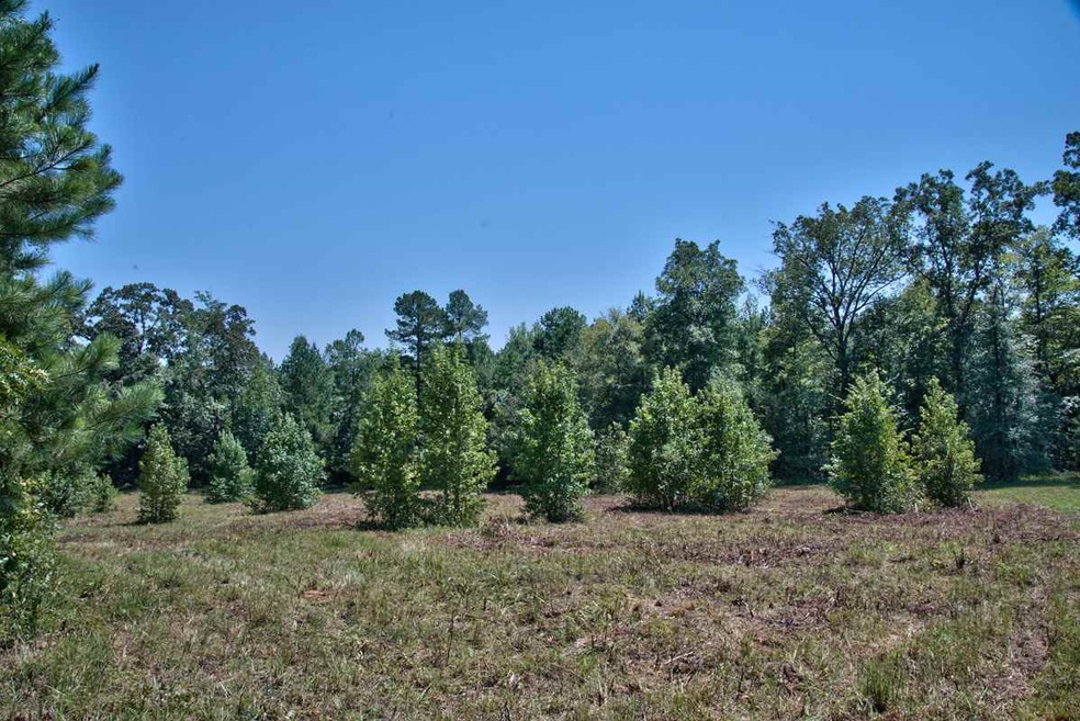 1201 Waterstone Dr, Madison, GA 30650 - photo 1