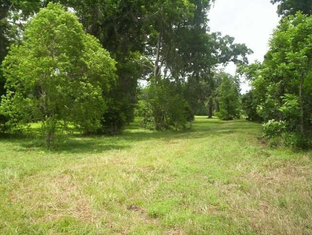Lot is wooded now but this was how the lot could l