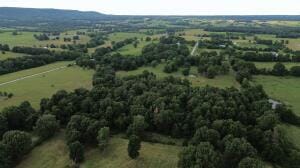 Fork Creek Rd