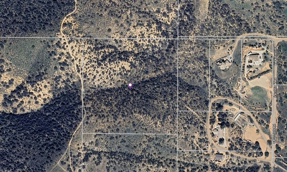 Screenshot 2024-12-13 100110