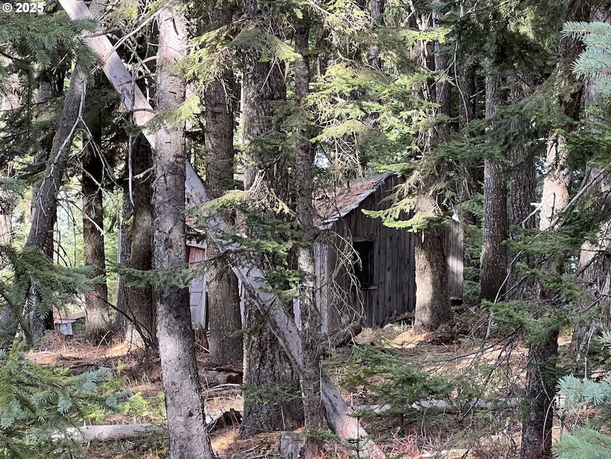 59744 Rommel Ln, Weston, OR 97886 - photo 1