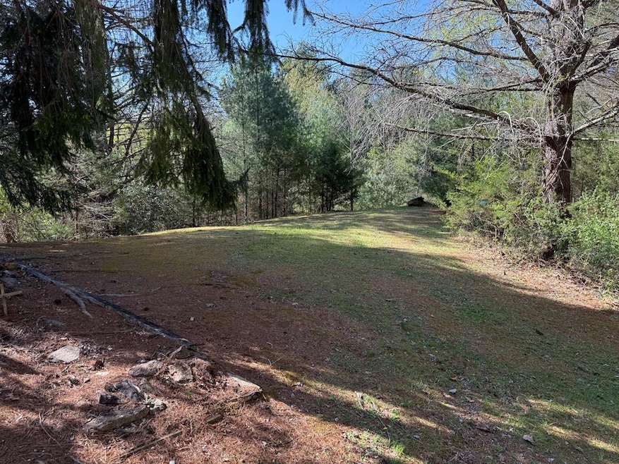 00 Appleberry Ln, Franklin, NC 28734 - photo 1