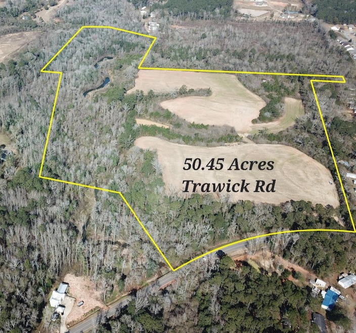 50.45 Acres Trawick Rd, Dothan, AL 36301 - photo 1