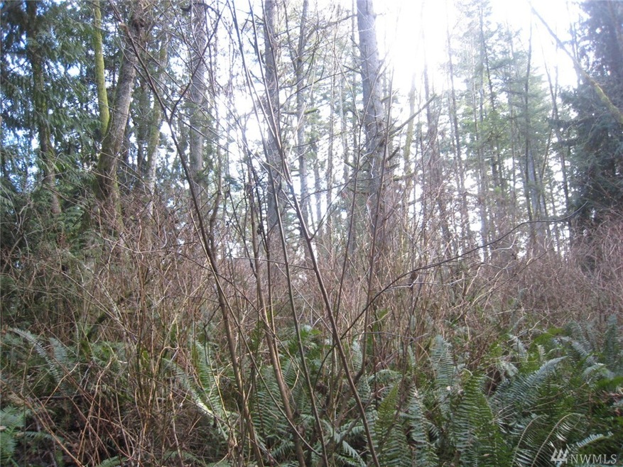 46 Xx Lot C 192nd St NW, Stanwood, WA 98292 - photo 1