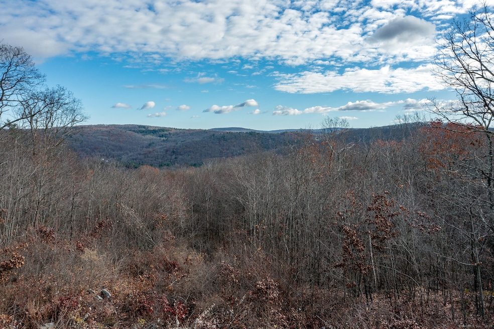 0 Swaller Hill Rd unit 24141946, Sharon, CT 06796 - photo 1