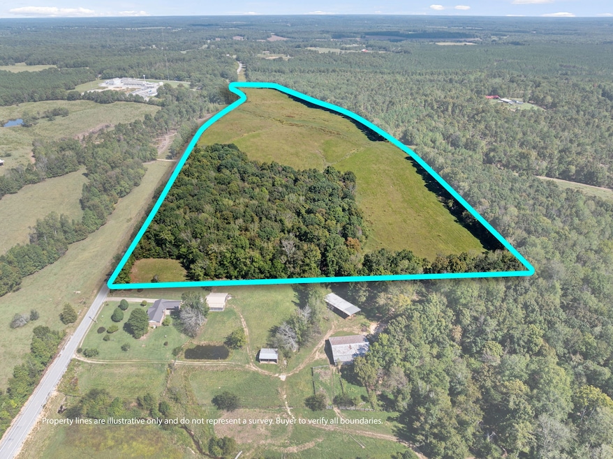 6205 Pumping Station Rd, Cypress Inn, TN 38452 - photo 1