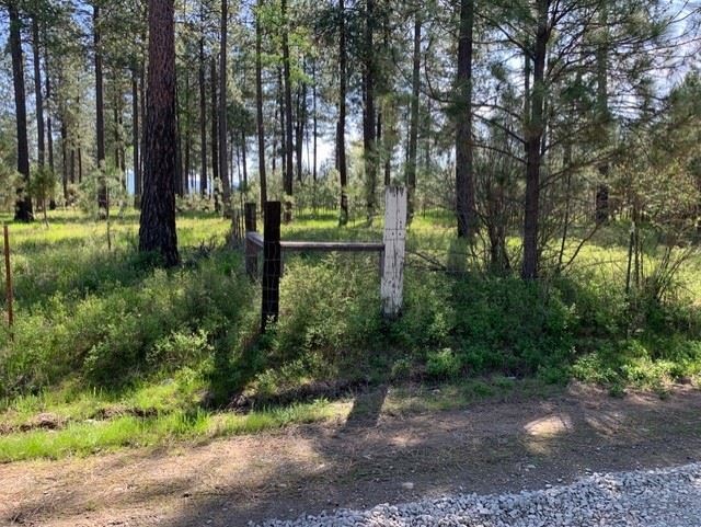 XXXX N Hatch Ln, Spokane, WA 99005 - photo 1