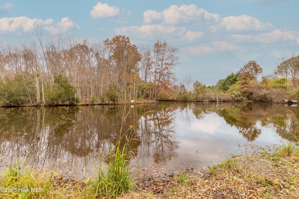 100 Rockfish, Edenton, NC 27932 - photo 1