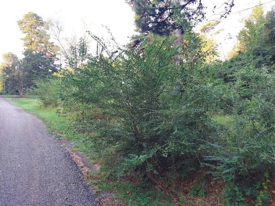 0 Pearson St, Avinger, TX 75630 - photo 1