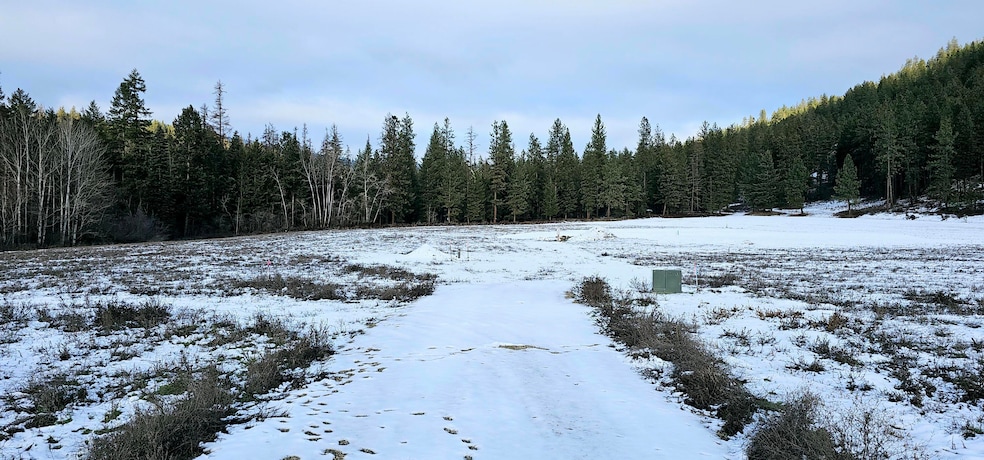 1707 Hwy 395 S, Chewelah, WA 99109 - photo 1