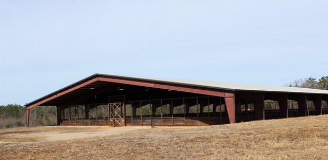 Main View
