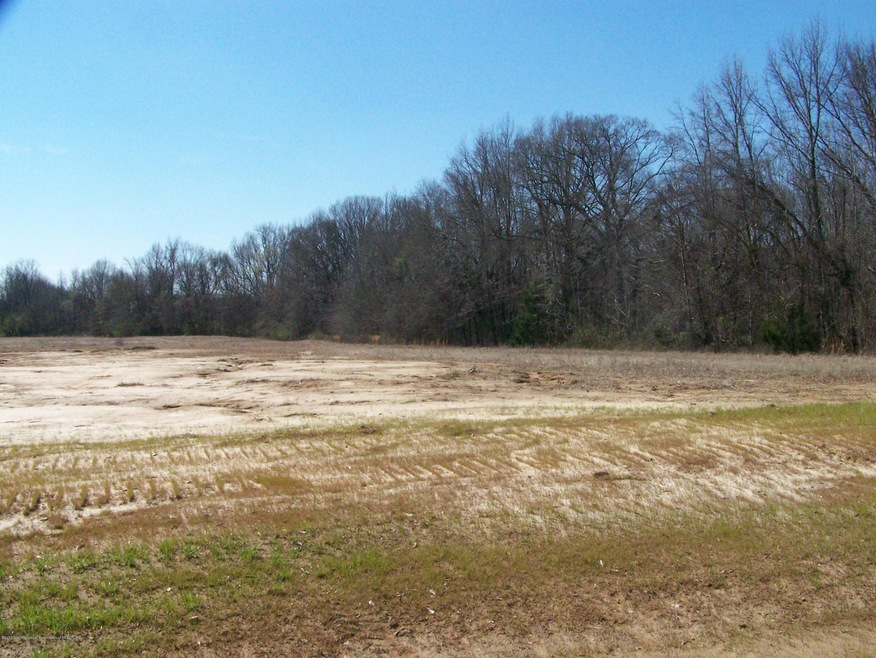 761 Highway 305, Hernando, MS 38632 - photo 1