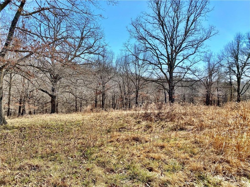 0 Off School House Rd unit 1210604, Siloam Springs, AR 72761 - photo 1