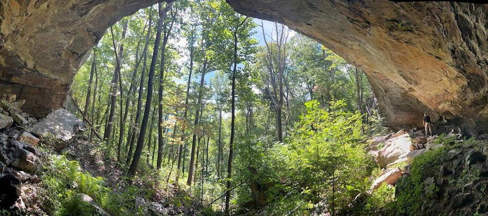 Lot 8 Junaluska Dr, Jamestown, TN 38556 - photo 1