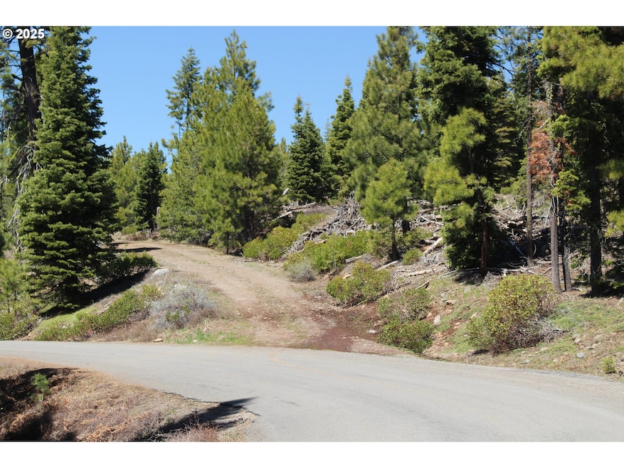 0 Rd 212-Deer Creek unit 716151554, Bly, OR 97622 - photo 1