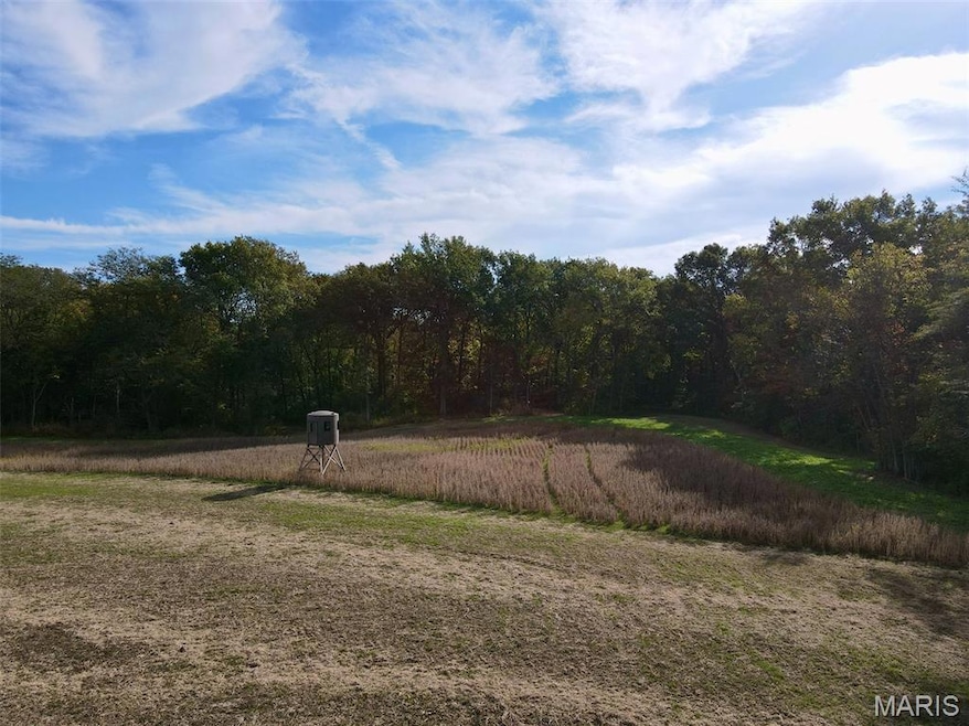 00 Union Grove Ave, Lagrange Township, IL 62246 - photo 1