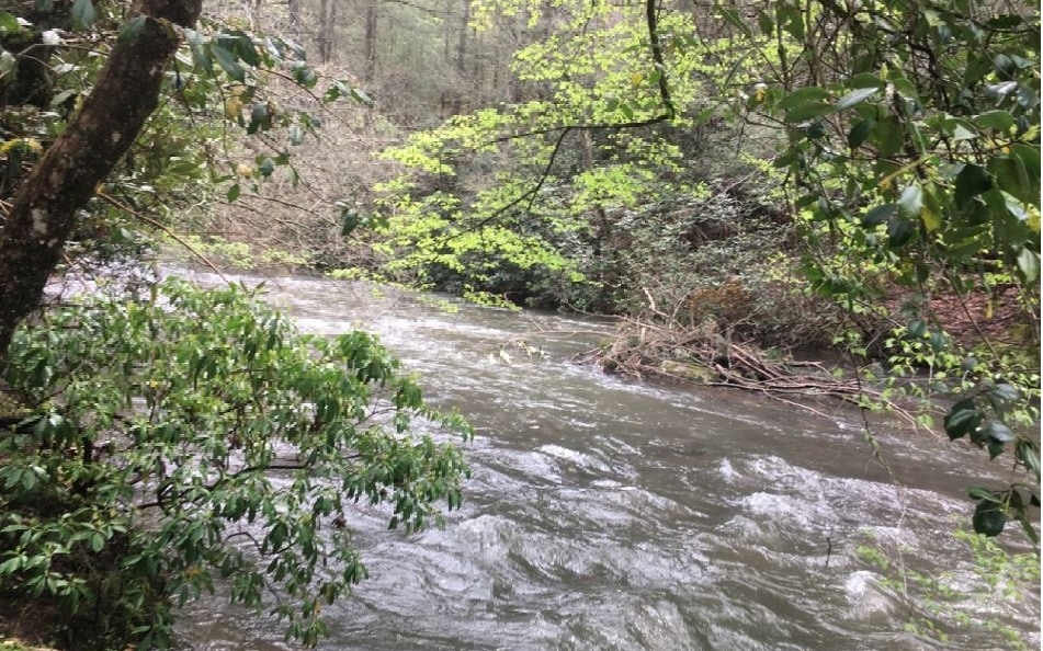 L 619 Neshoba Ct, Ellijay, GA 30540 - photo 1