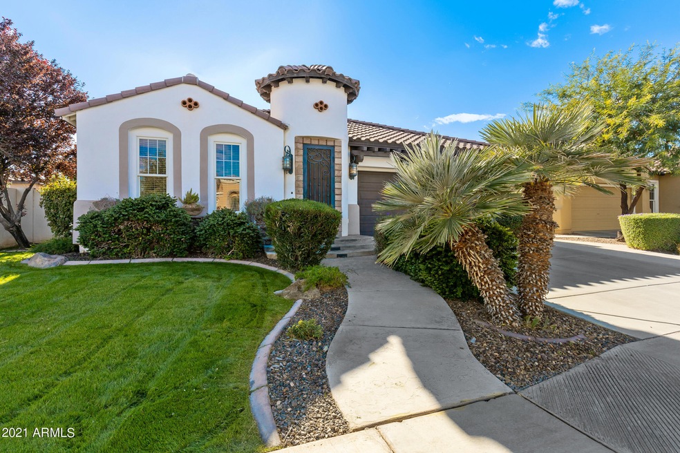 2415 E Desert Broom Pl-1