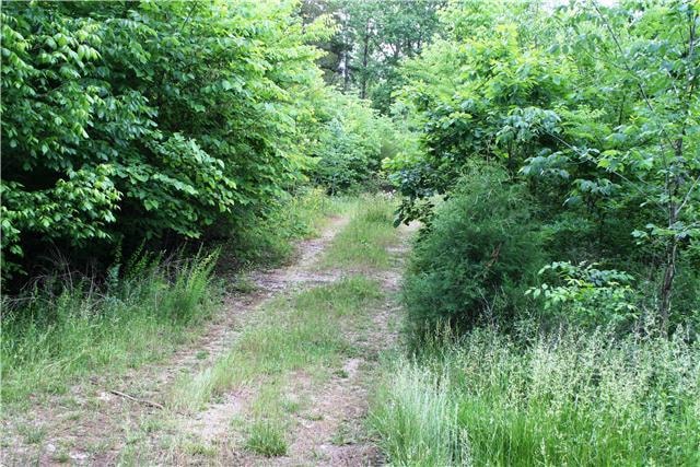 2929 Ownby Rd, Lewisburg, TN 37091 - photo 1