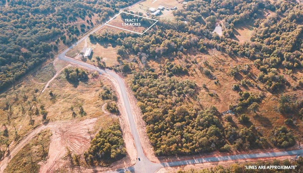View of aerial view