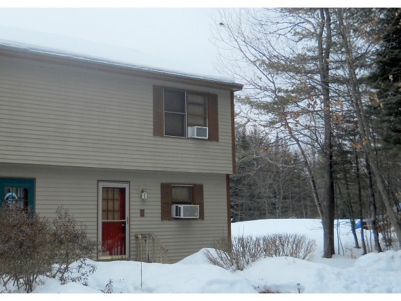 14 Chester Ln unit 1, Enfield, NH 03748 - photo 1