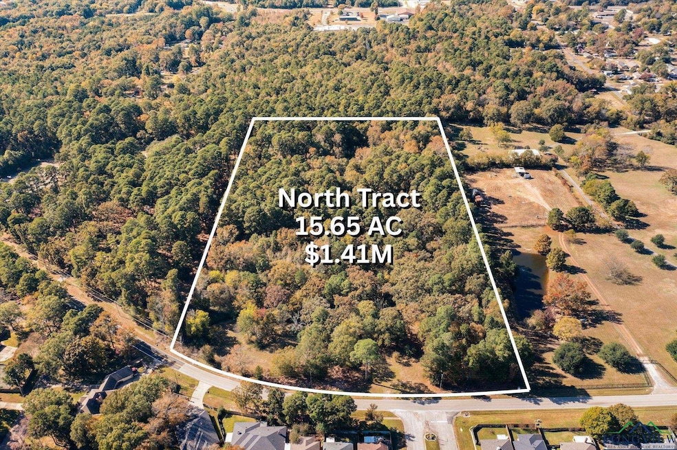 TBD Airline Rd unit North Tract 15.65 ac, Longview, TX 75605 - photo 1