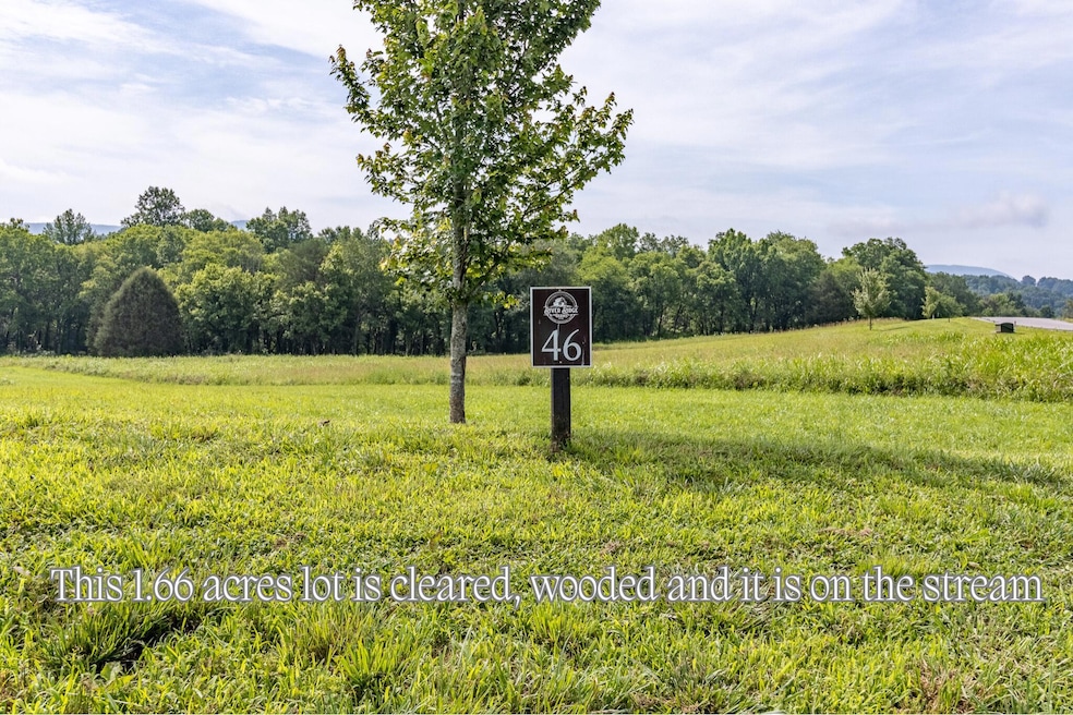 cleared wooded lot