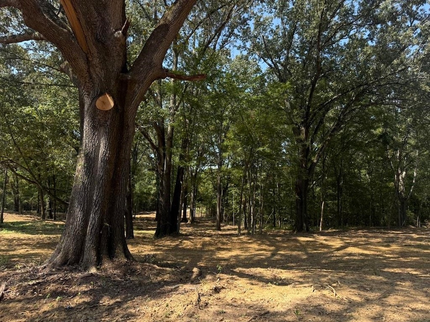 25 Bell Grove Rd, Oakland, TN 38028 - photo 1