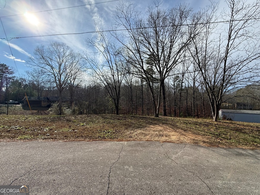 0 Bethany St unit 10655598, Tallapoosa, GA 30176 - photo 1