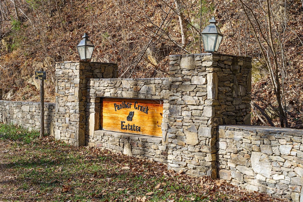 1098 Hyacinth Dr, Clyde, NC 28721 - photo 1