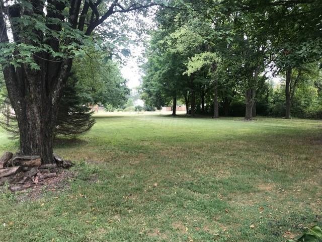 2155 Stelzer 1