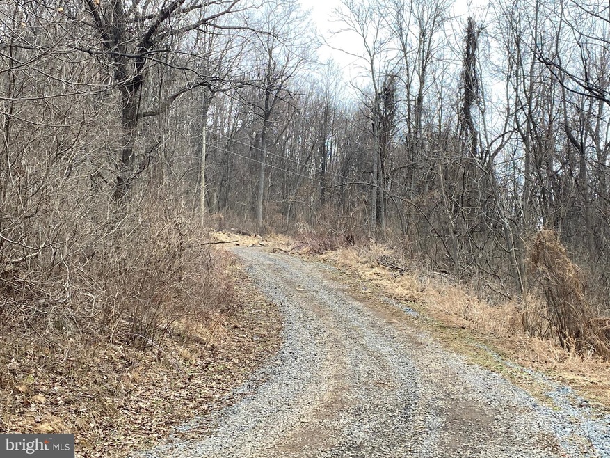 LOT 3 Old Orchard Rd, Happy Creek, VA 22642 - photo 1