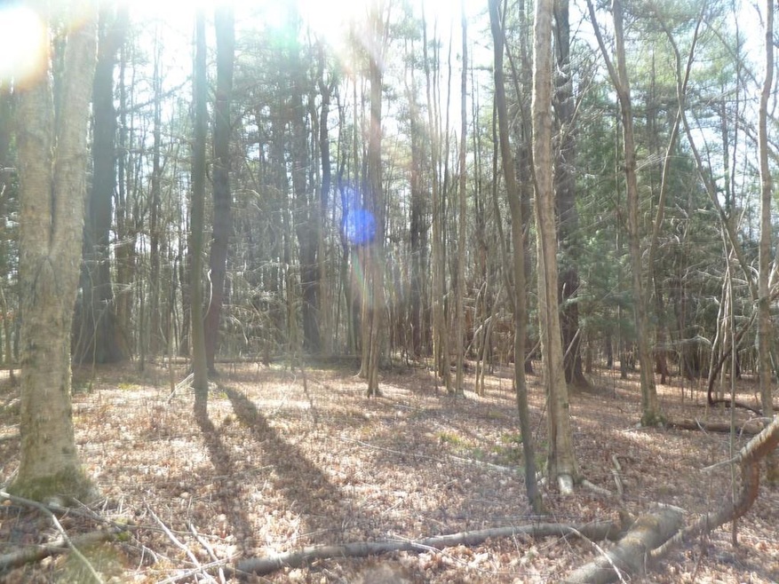 167 West Rd, Bernardston, MA 01337 - photo 1