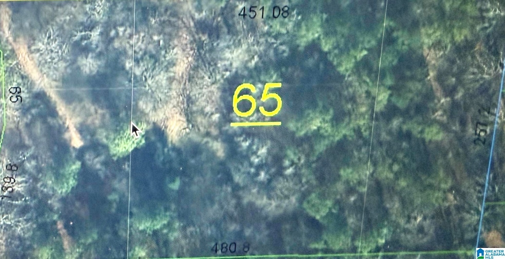 253 Ledbetter Rd, Anniston, AL 36201 - photo 1