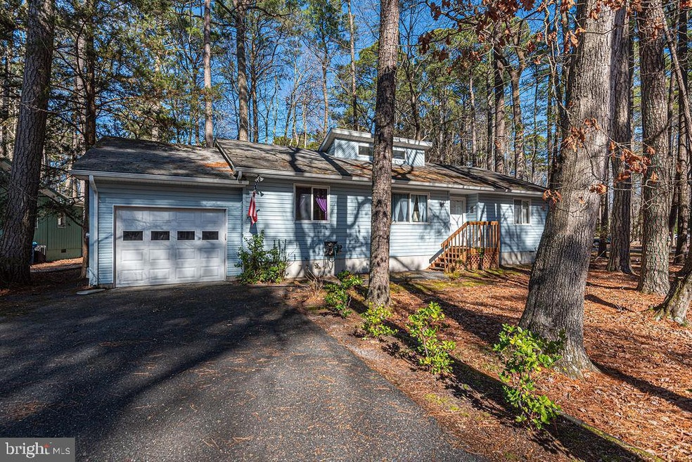 31 Falcon Bridge Rd, Berlin, MD 21811 - photo 1