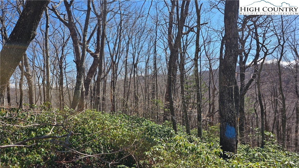 View from property line at ridge