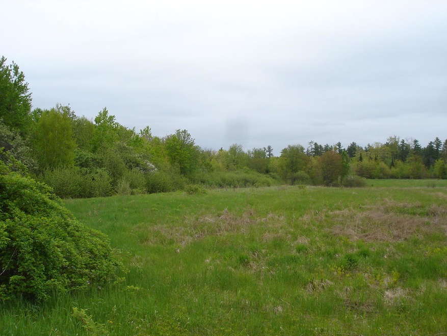 DSC09946