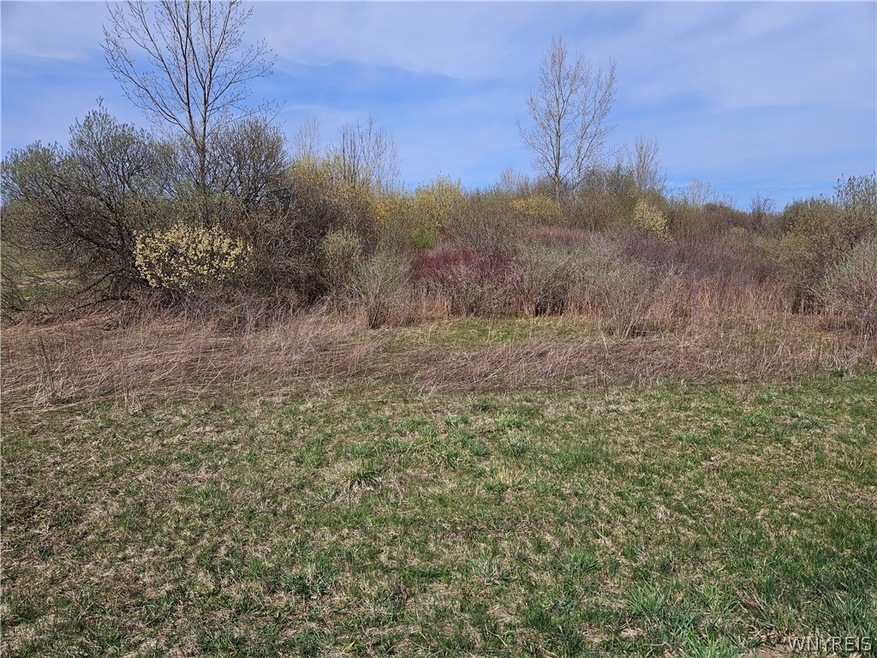 8765 Dale Rd, Royalton, NY 14067 MLS B1534056