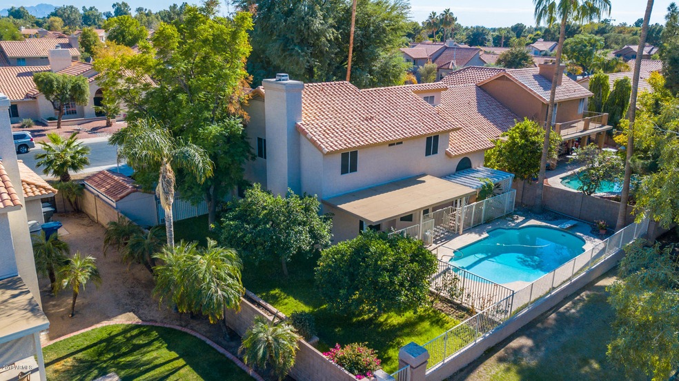 Saguaro pool yard greenbelt