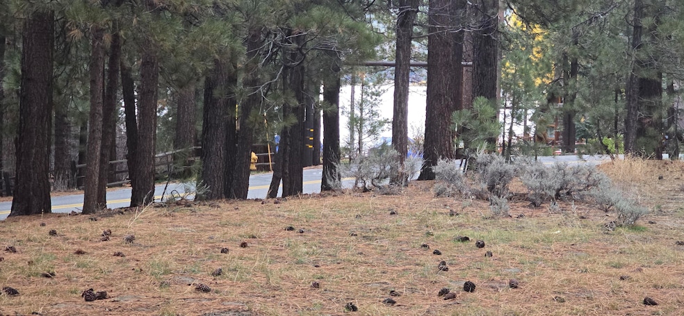 39731 Lakeview Dr, Big Bear Lake, CA 92315 - photo 1