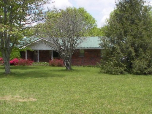 Primary Photo