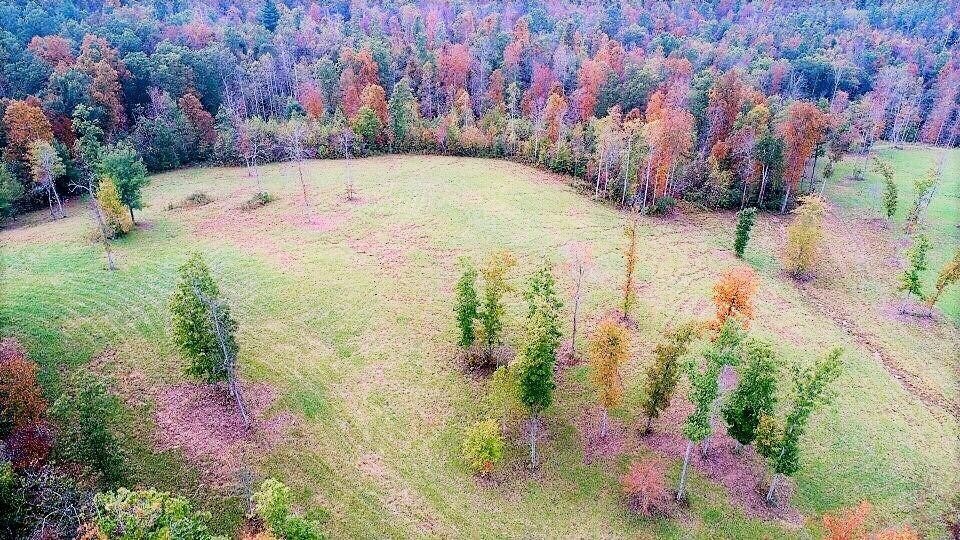 0 Red Williams Rd, Crossville, TN - photo 1