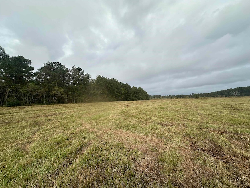 0 Cr 3114 unit 262737, Buna, TX 77612 - photo 1