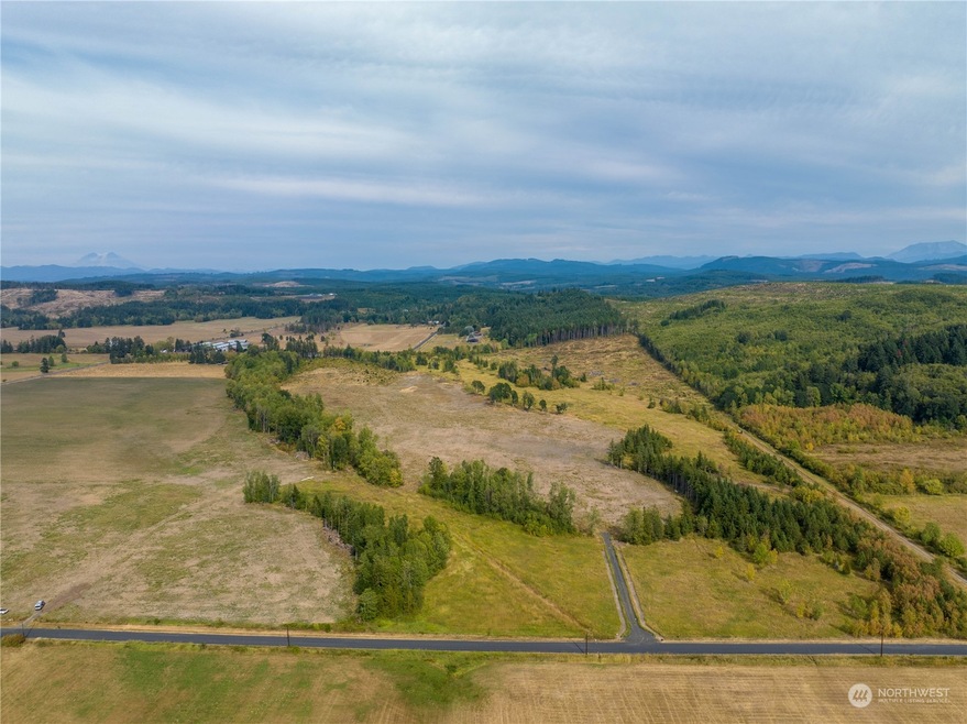 0 3 Maw Rd, Toledo, WA 98591 - photo 1